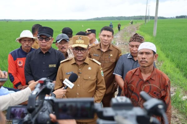 Dukung Petani, Gubernur Banten Tinjau Calon Jalan Usaha Tani Sepanjang 7 Km di Wanasalam